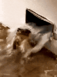 20211002_153748.gif