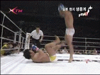 4.gif