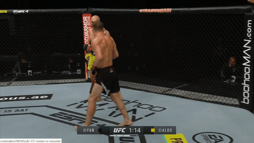 AldoyanPivot.gif