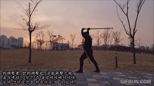 표두격.gif