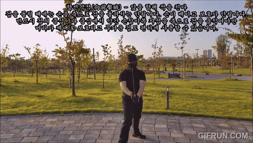 향전격적세.gif