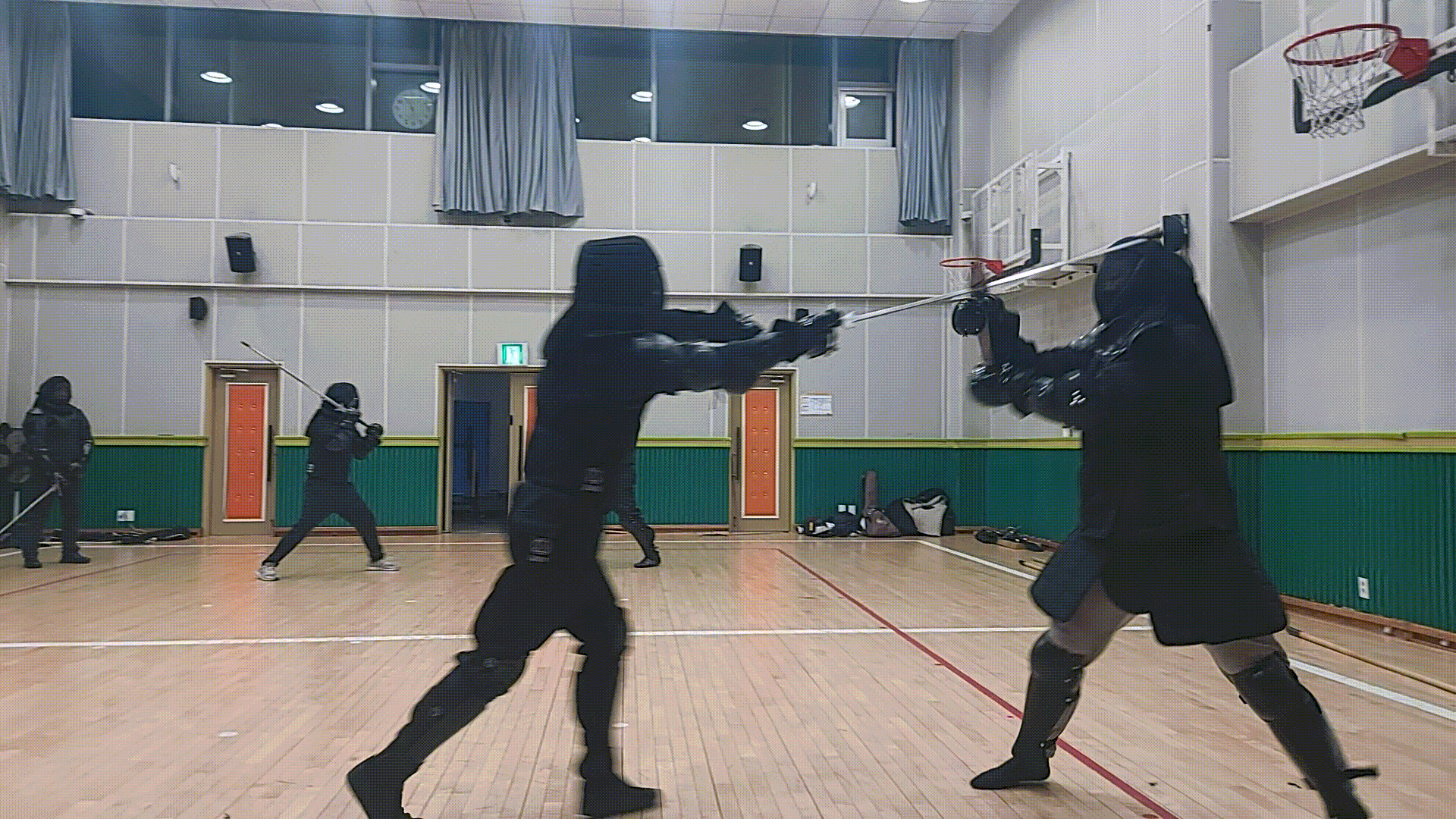 고대세스파링활용.gif