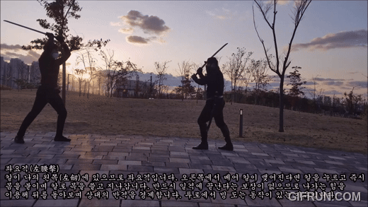 1.gif