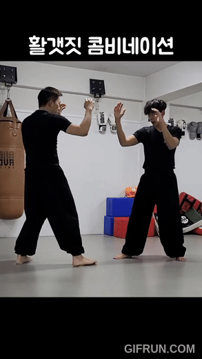 활갯짓콤비.gif