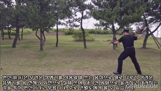 당파번신.gif