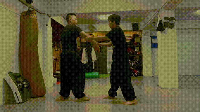 풍수시범.mp4_20250121_153837.gif