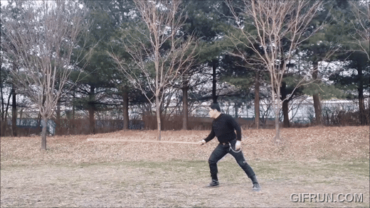 마이어창술향상방적.gif
