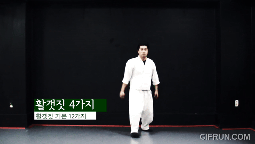 활갯짓1번.gif