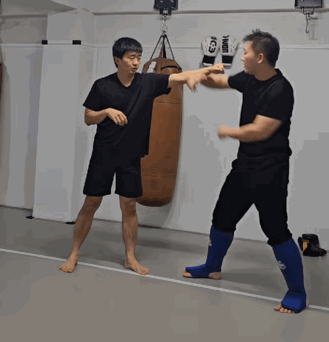 활갯짓8번.gif