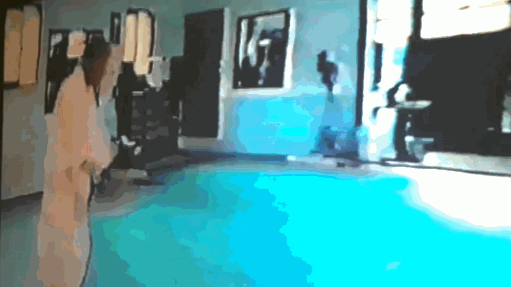 태껸춤활개돌리기.gif