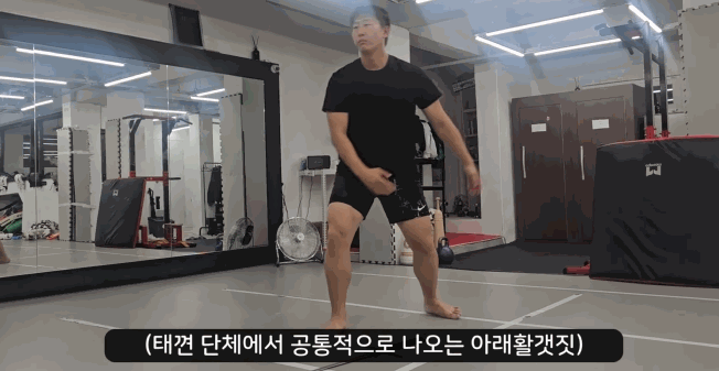 아래활갯짓.gif