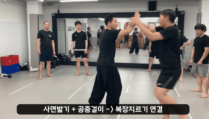 widae02.gif