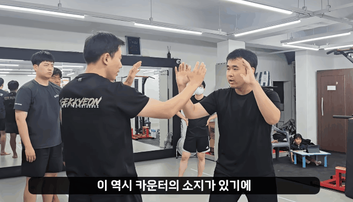 widae_고대세카운터.gif