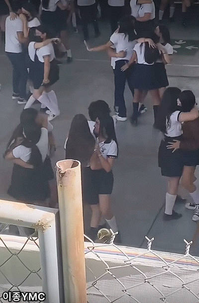 5.gif