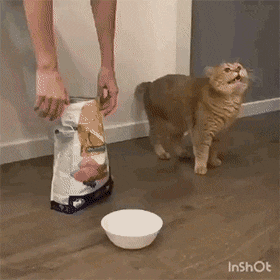 1576194268068.gif