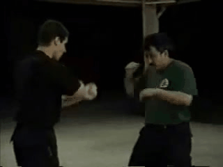 GIF_20261012_171503_779.gif