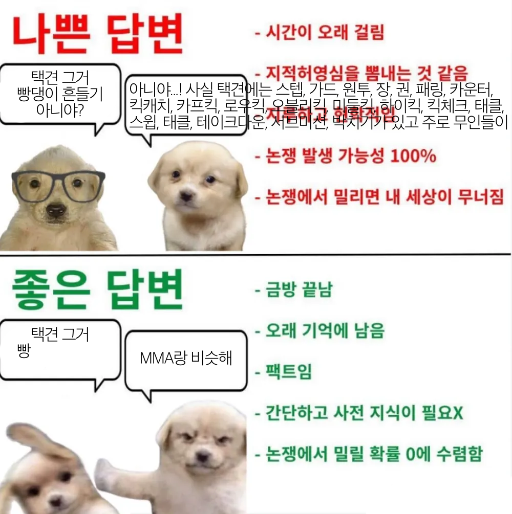택견.png