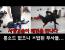 윗대태껸×고검연