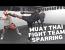 Muay Thai Fight Team Sparring