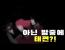 전통택견룰에서 말인데..