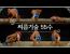 씨름 기술 55수