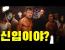 멘헤라는 왜 격투기를 해야하는가