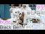 2023 쿠도 승단 심사(타격룰/츠카미/더티복싱)