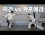 격기3반 택견 vs 카포에라