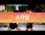 mma 기술 분석