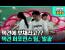 택견의 대중화를 위해 화려함과 스토리를 더했다! 국내 유일 택견 퍼포먼스 팀, '발광'