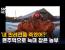 맨손으로 늑대를 잡은 남자