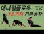 애니멀플로우 베이직 동작 15가지