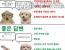 저는 이렇게 생각해요