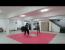 태극권 산수(散手) 라이트 스파링