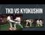 태권도 vs 극진가라데