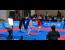 World Taekkyeon Competition(세계택견대회)
