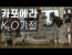 카포에라 K.O 기절 모음 l Capoeira knock out